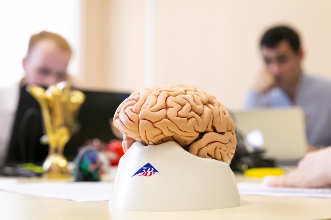 Centre for Language and Brain Opens at HSE Illustration for news: Centre for Language and Brain Opens at HSE