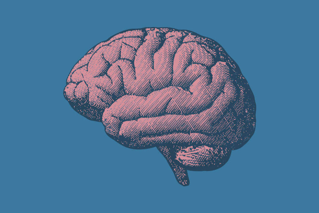 Researchers Discover Brain Cortex Activity Differences in Children with Arthrogryposis Illustration for news: Researchers Discover Brain Cortex Activity Differences in Children with Arthrogryposis