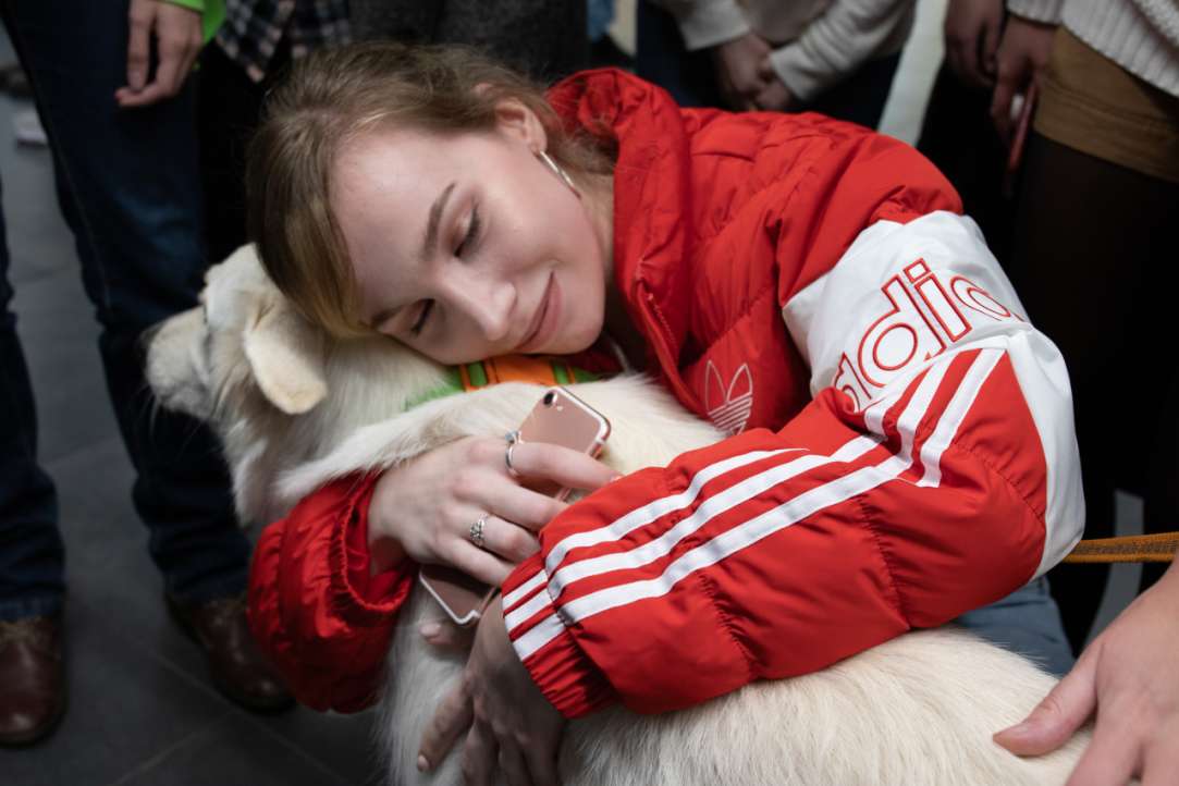Furry Therapists, Yoga and Self-care: HSE Joins in Celebrating World Mental Health Day Illustration for news: Furry Therapists, Yoga and Self-care: HSE Joins in Celebrating World Mental Health Day