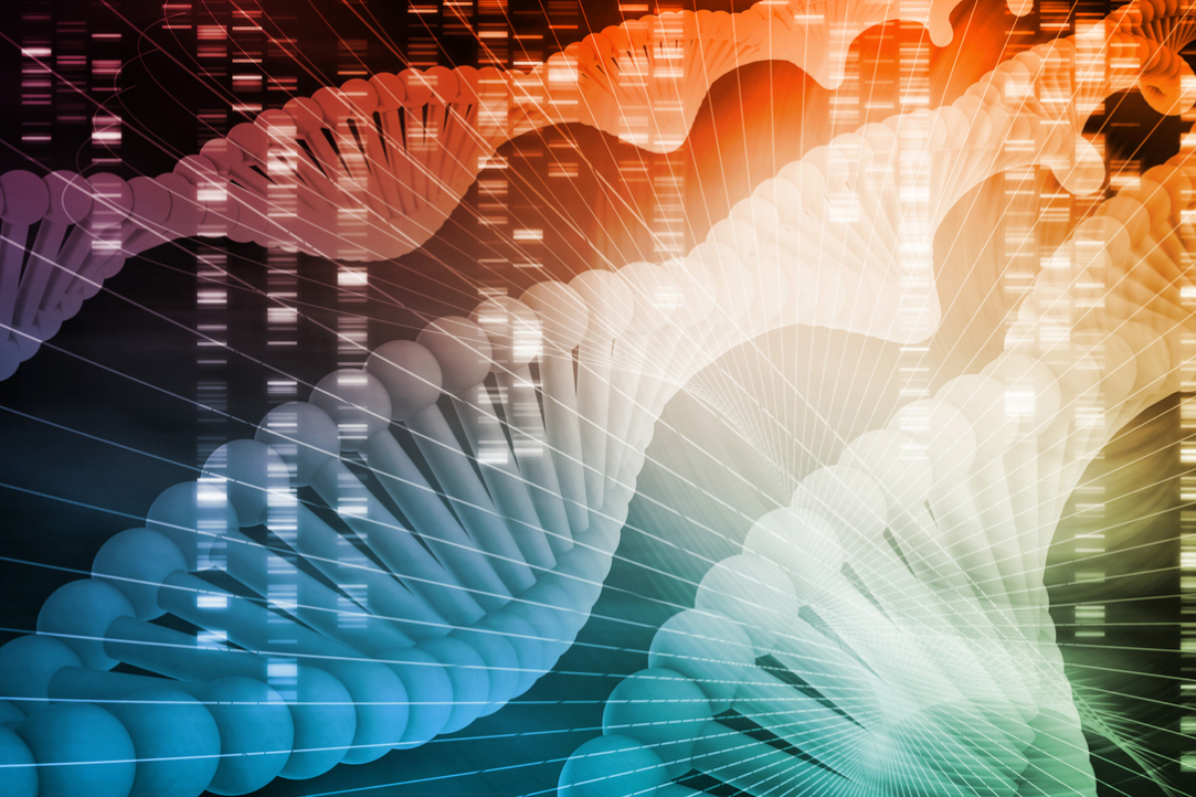 New Online School on Population Genetics and Analysis Illustration for news: New Online School on Population Genetics and Analysis