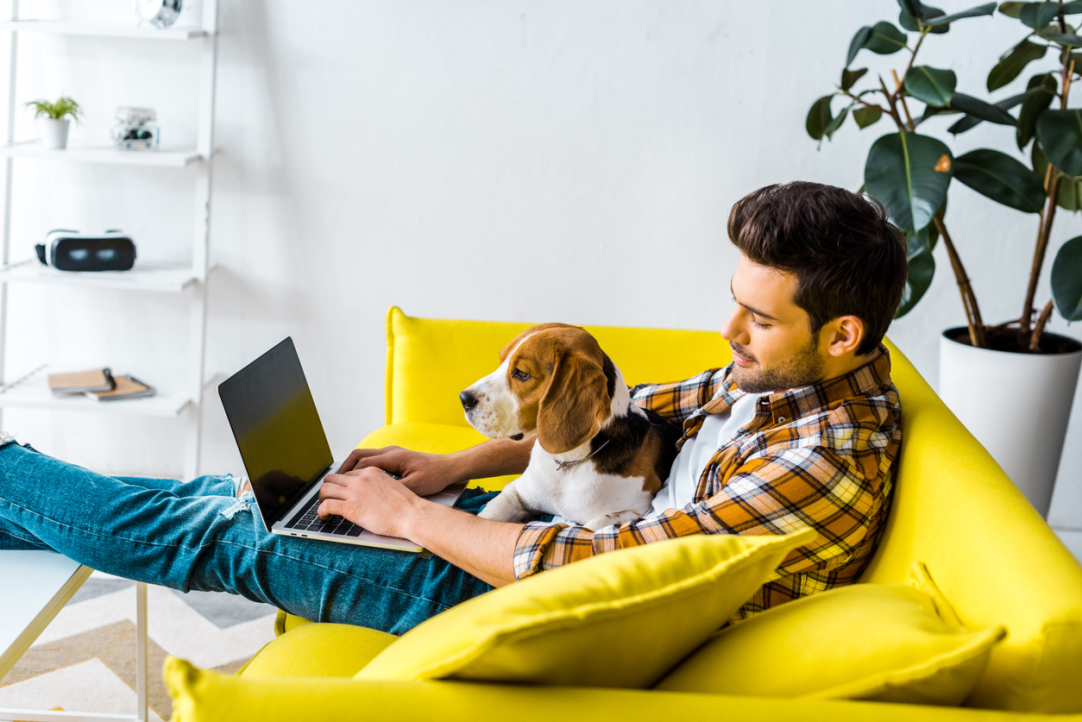 The Kings of Remote Work: HSE Experts Dispel Myths and Stereotypes about Freelancers Illustration for news: The Kings of Remote Work: HSE Experts Dispel Myths and Stereotypes about Freelancers
