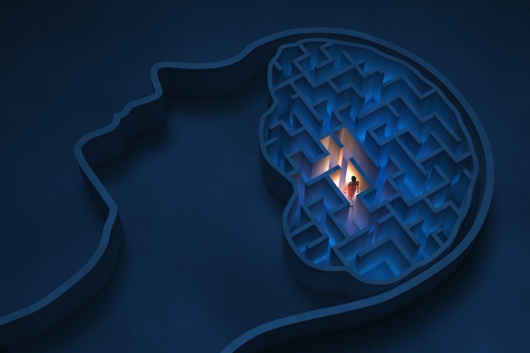 ‘The Human Brain Has Always Fascinated Me’ Illustration for news: ‘The Human Brain Has Always Fascinated Me’