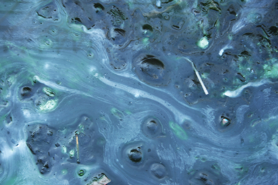 Researchers Explain How Massive Methane Emissions Affect Warming in the Arctic Illustration for news: Researchers Explain How Massive Methane Emissions Affect Warming in the Arctic