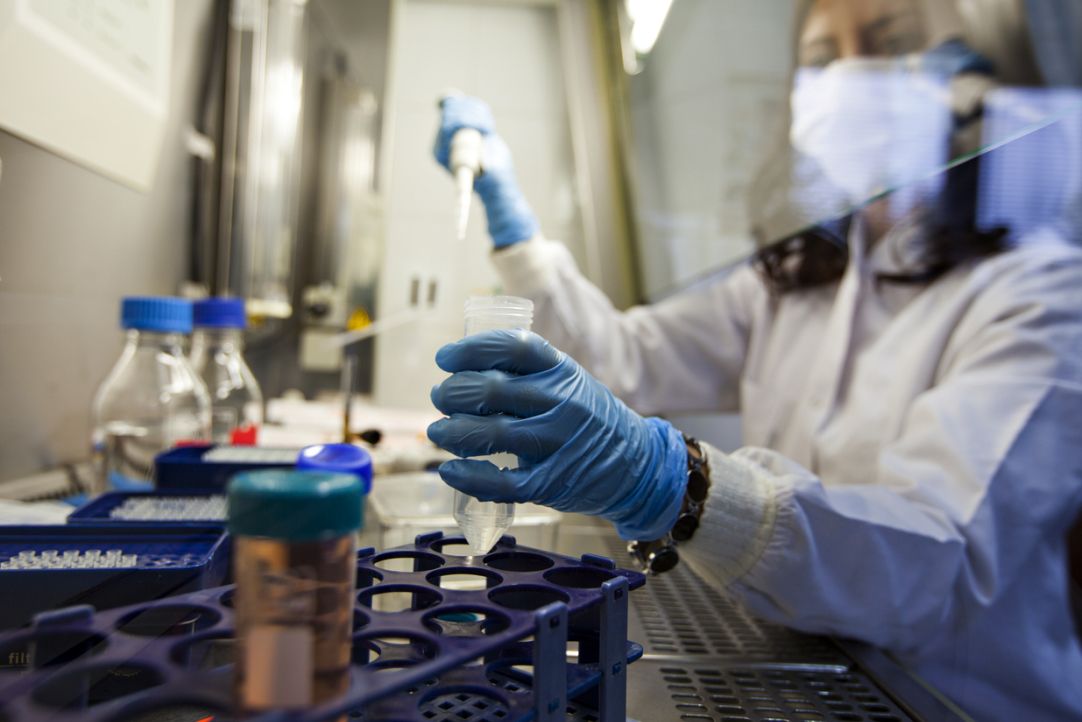 Research Reveals RNA's Role in Cancer Progression Illustration for news: Research Reveals RNA's Role in Cancer Progression