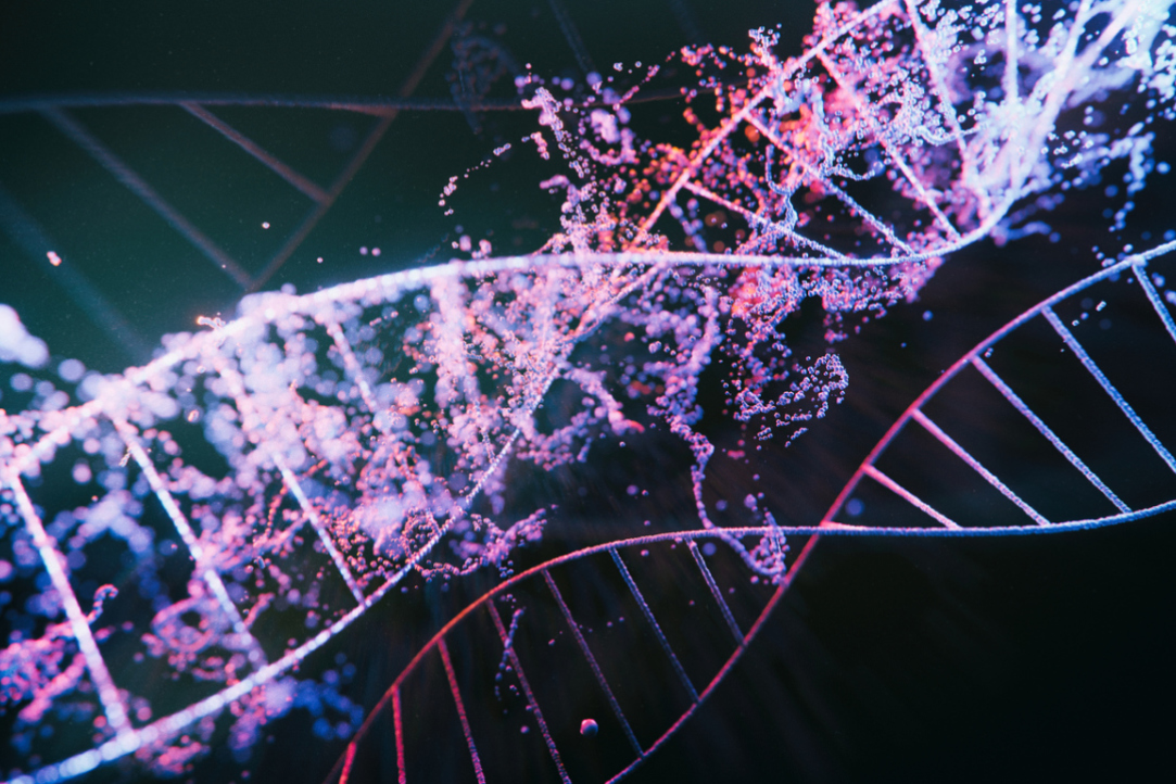 Research Finds Genes Associated with Most Aggressive Kidney Cancer Illustration for news: Research Finds Genes Associated with Most Aggressive Kidney Cancer