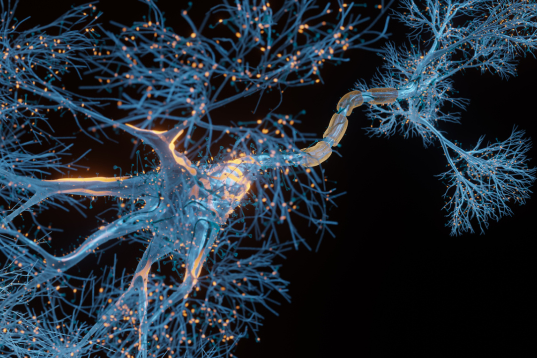 Ketamine Found to Increase Brain Noise Illustration for news: Ketamine Found to Increase Brain Noise