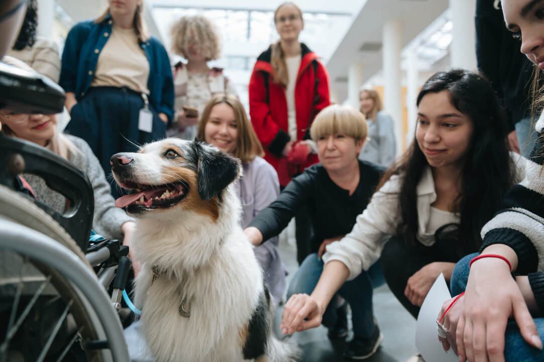 Mental Health Spring в Вышке: «Мафия» по-новому, собаки-терапевты и полный релакс Иллюстрация к новости: Mental Health Spring в Вышке: «Мафия» по-новому, собаки-терапевты и полный релакс