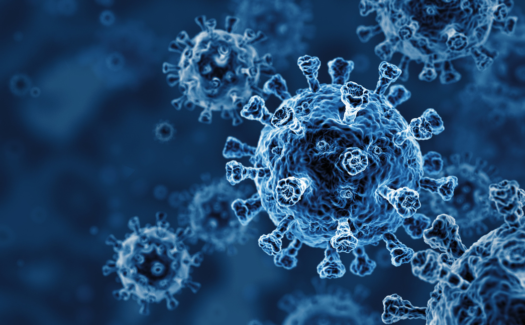 Immortal Cells and Mathematics Reveal Mechanism behind Coronavirus Infection Illustration for news: Immortal Cells and Mathematics Reveal Mechanism behind Coronavirus Infection