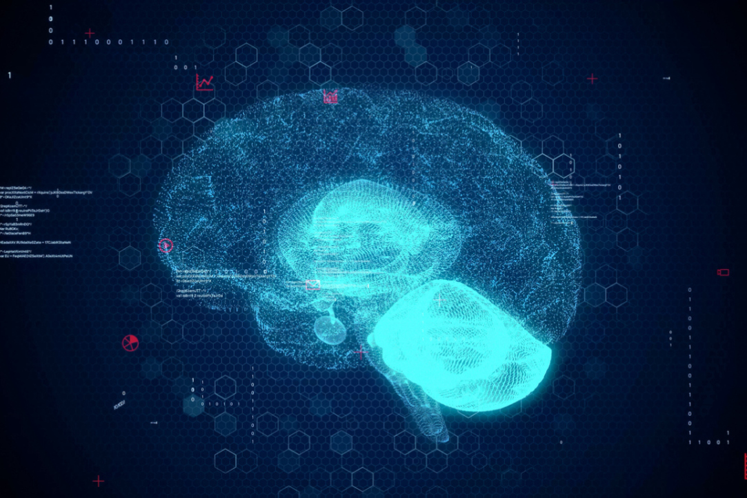Parietal Cortex Influences Risk-Taking Behaviour Illustration for news: Parietal Cortex Influences Risk-Taking Behaviour