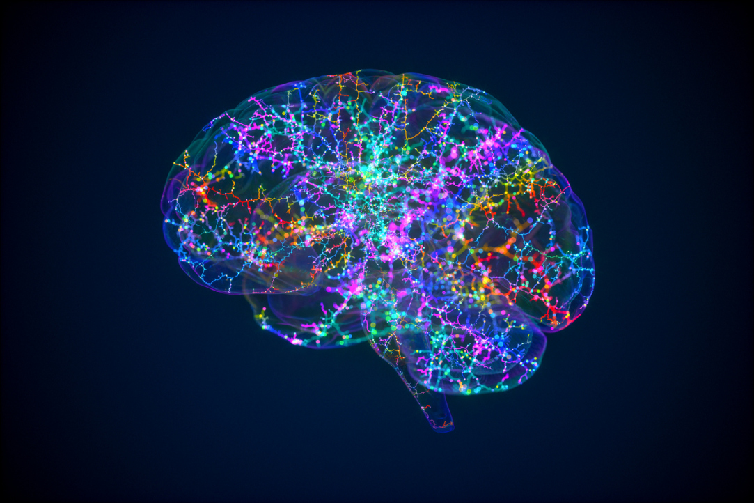 Neuroscientists Inflict 'Damage' on Computational Model of Human Brain Illustration for news: Neuroscientists Inflict 'Damage' on Computational Model of Human Brain