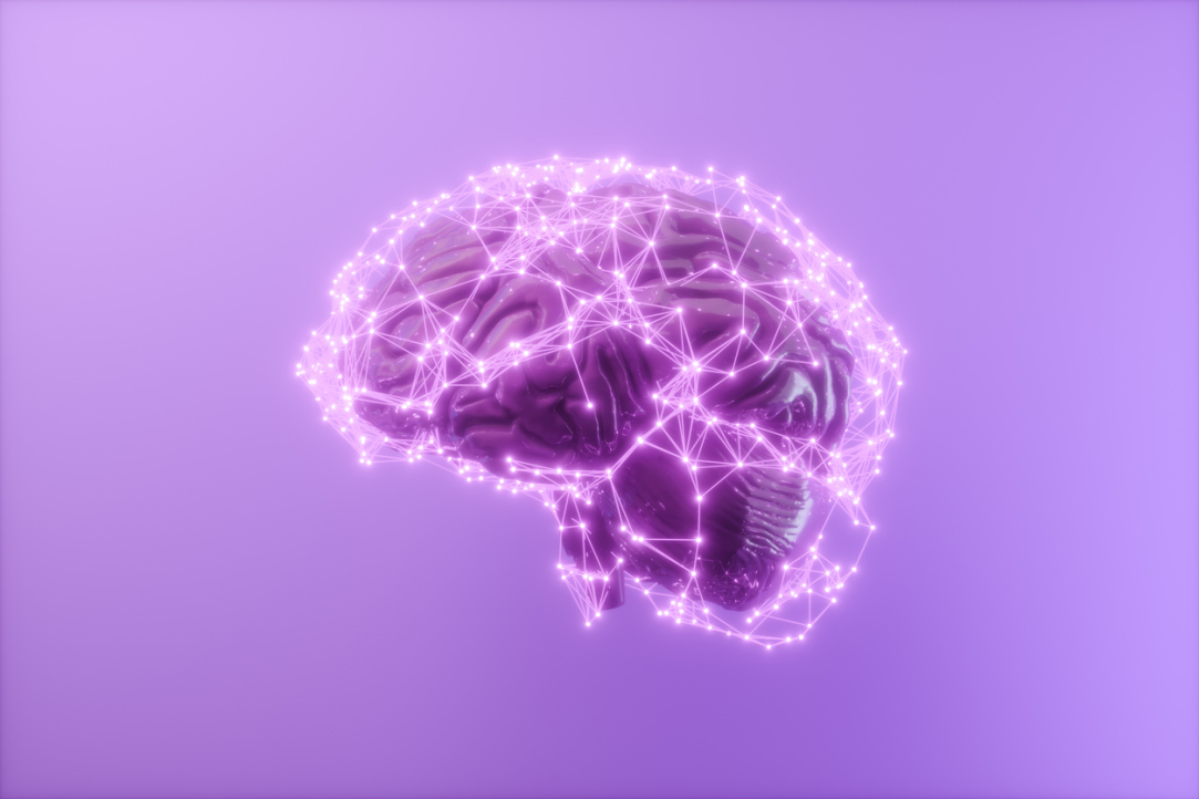Processing Temporal Information Requires Brain Activation Illustration for news: Processing Temporal Information Requires Brain Activation