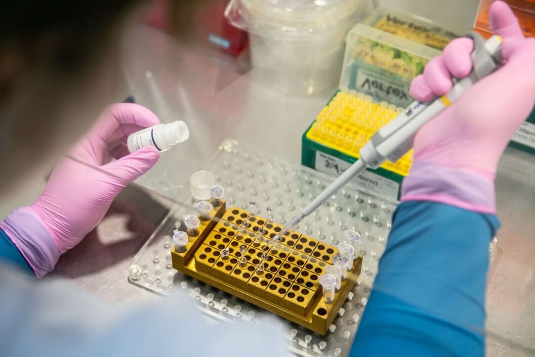 Biologists at HSE University Warn of Potential Errors in MicroRNA Overexpression Method Illustration for news: Biologists at HSE University Warn of Potential Errors in MicroRNA Overexpression Method