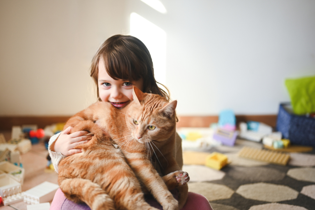 Psychologists from HSE University Discovered How Love for Animals Affects Relationships with People Illustration for news: Psychologists from HSE University Discovered How Love for Animals Affects Relationships with People