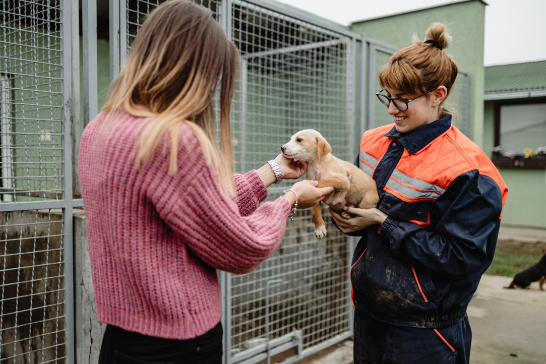 HSE Scientists Discover How to Predict Charitable Behaviour Through Physiological Reactions Illustration for news: HSE Scientists Discover How to Predict Charitable Behaviour Through Physiological Reactions