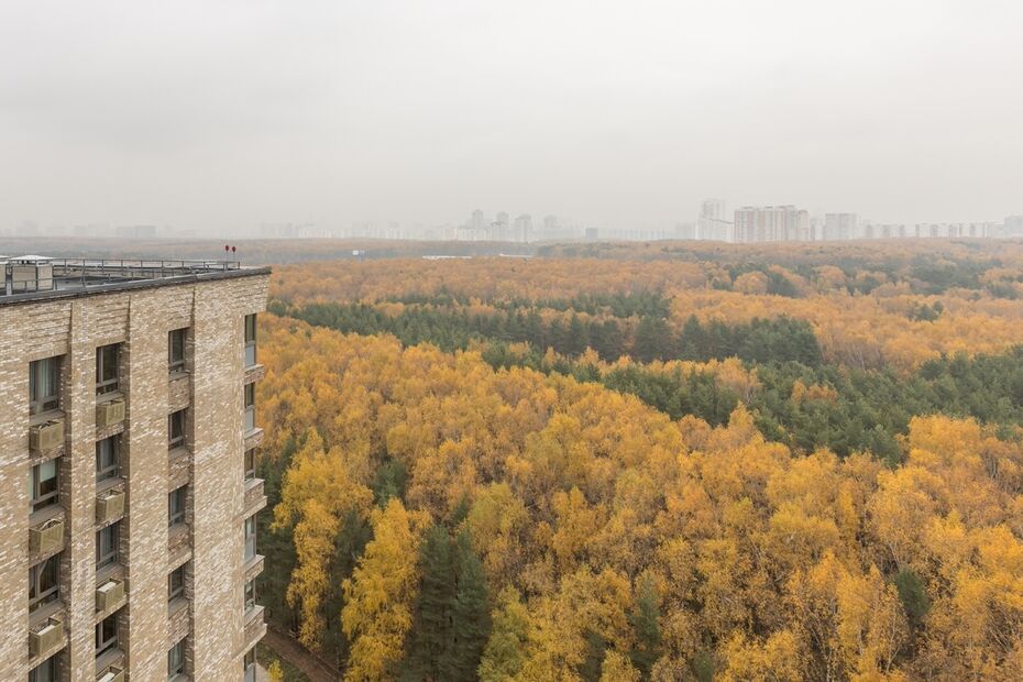 «Создание художественного образа в архитектурной фотографии невозможно без диалога с архитектурой» Иллюстрация к новости: «Создание художественного образа в архитектурной фотографии невозможно без диалога с архитектурой»