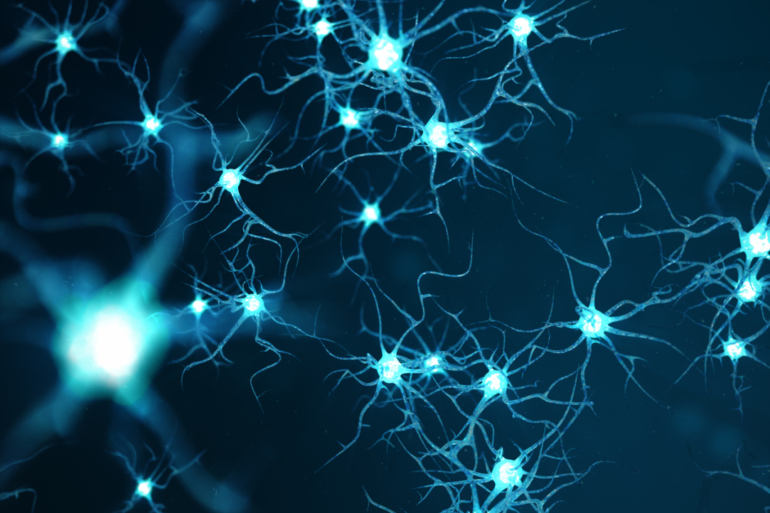 Russian Scientists Reconstruct Dynamics of Brain Neuron Model Using Neural Network Illustration for news: Russian Scientists Reconstruct Dynamics of Brain Neuron Model Using Neural Network